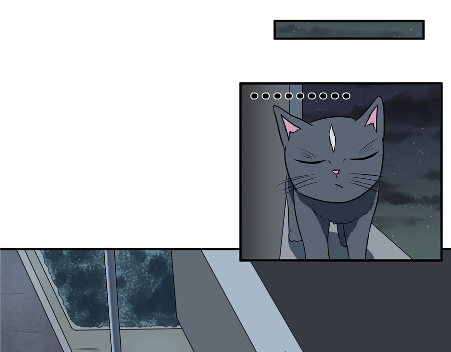 猫神是也 猫捉奸 第30页