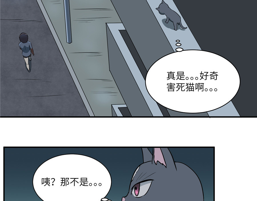 猫神是也 猫捉奸 第31页