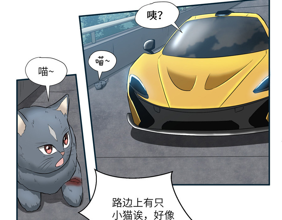 猫神是也 第6页