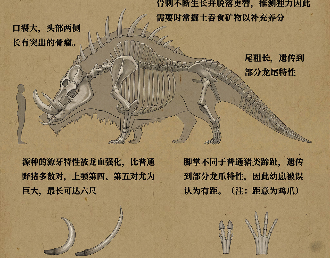 逐云记 序章 第209页