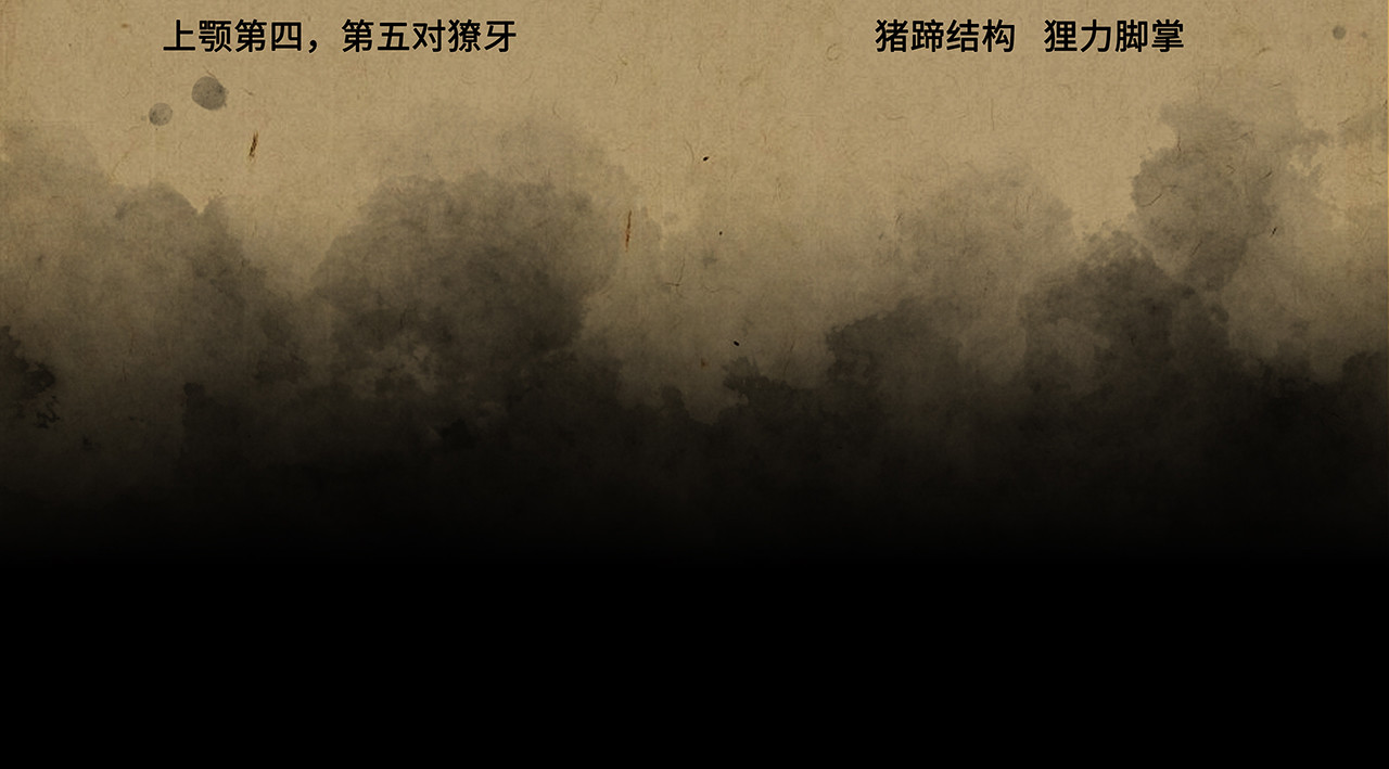 逐云记 序章 第210页