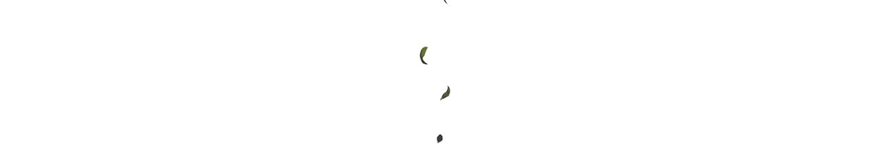 逐云记 序章 第54页