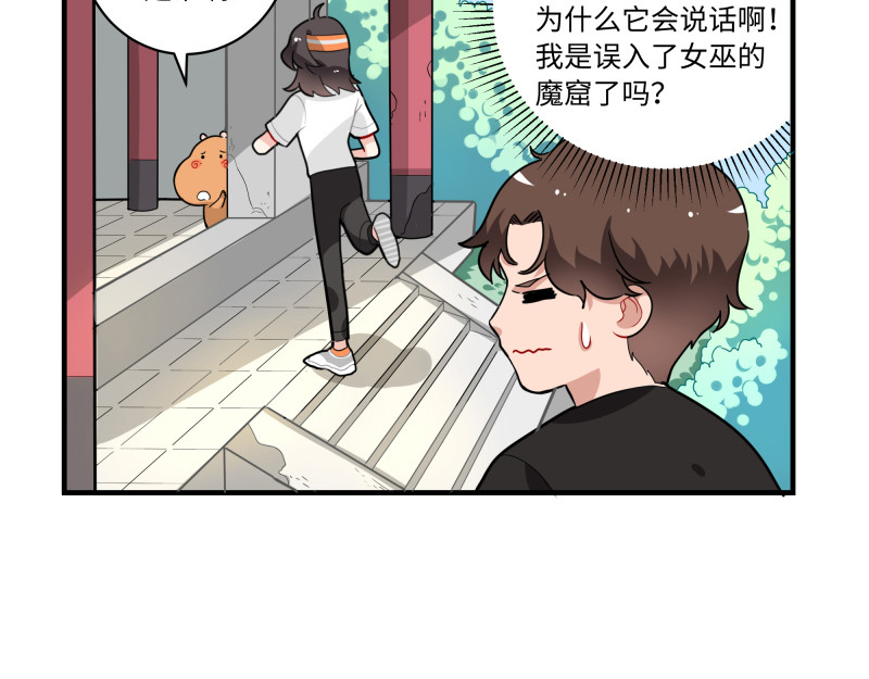 西子路的镇宅兽 第4话 好邻居阿池 第3页