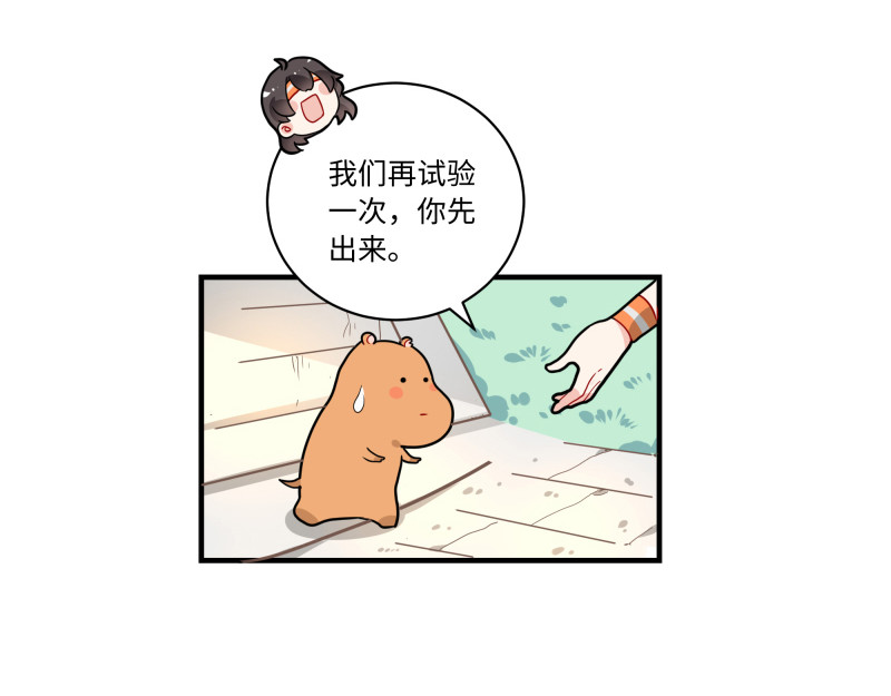 西子路的镇宅兽 第4话 好邻居阿池 第4页