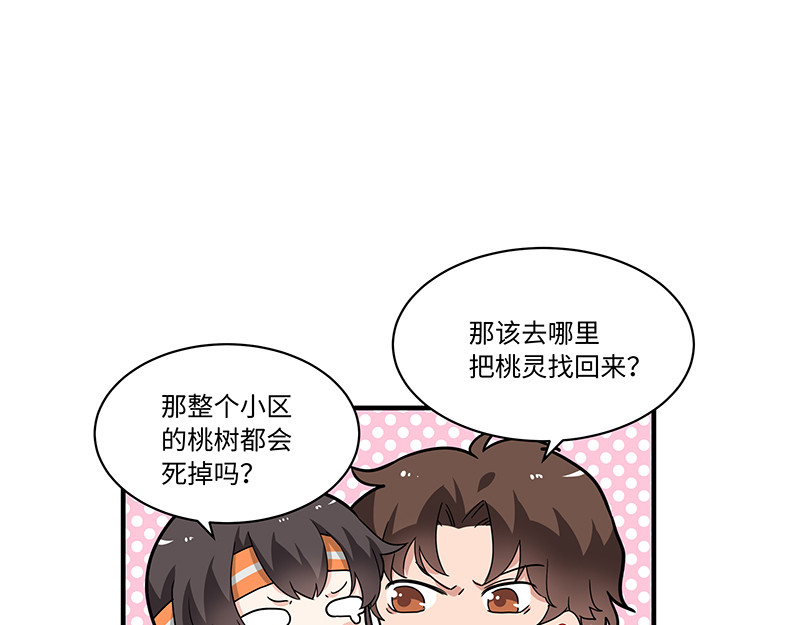 西子路的镇宅兽 第6话 今年桃树不开花 第25页