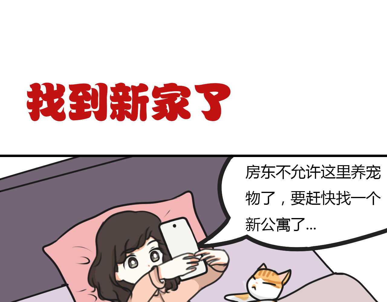 宠物公寓 第1页