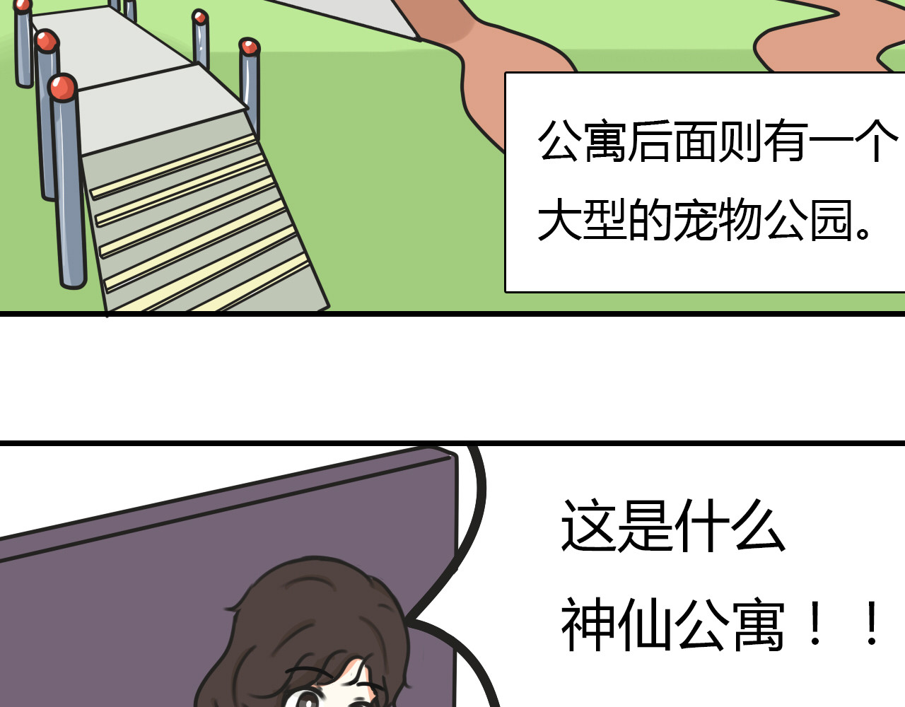 宠物公寓 第5页