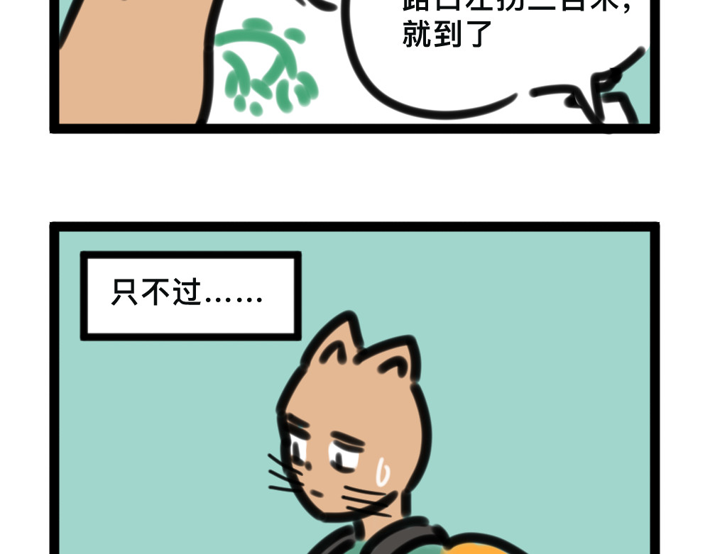 闽之园 第4页