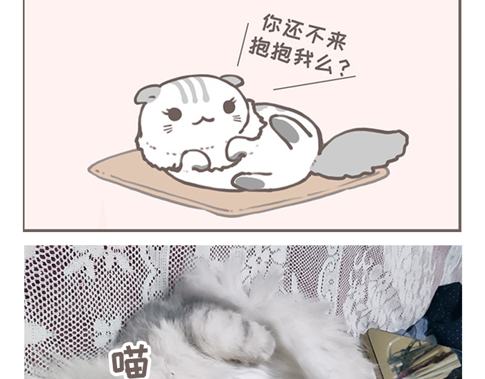 抱抱~喵~ 第4页