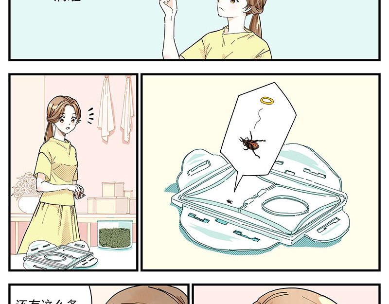 无言录 绿豆虫 第3页