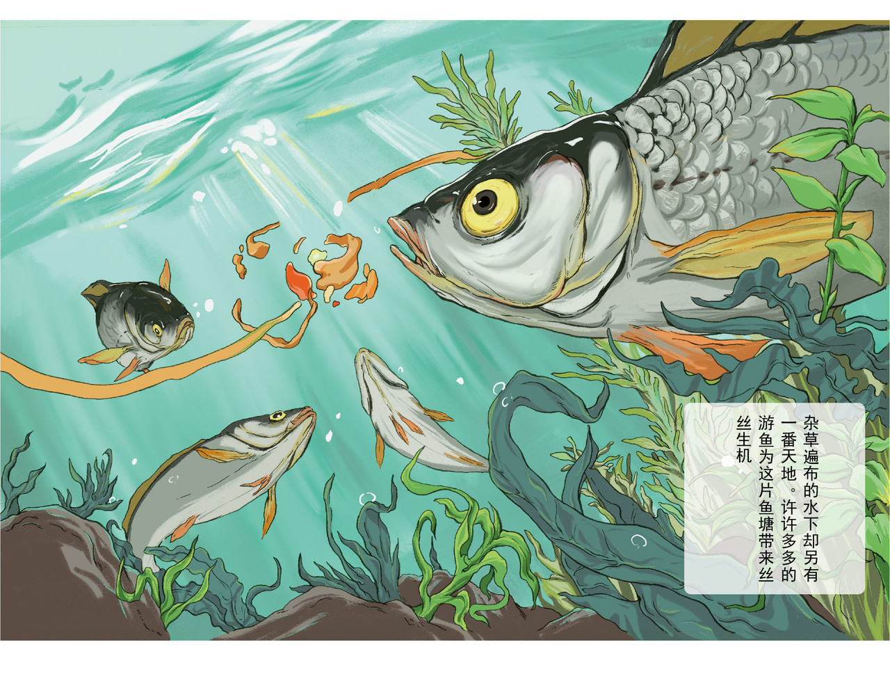 鱼塘记 第6页