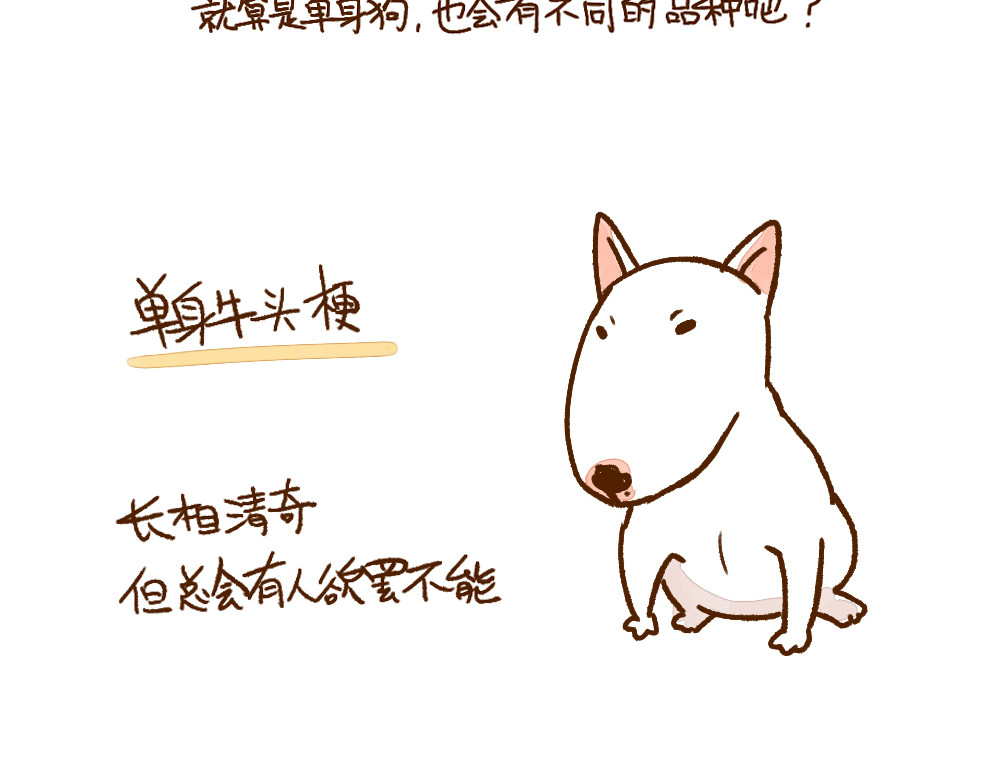 单身研究报告 003 假如单身就是狗…… 第7页