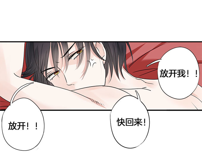 帝少别太猛 第4页
