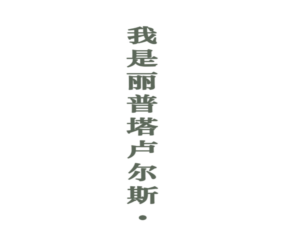 它 第1页