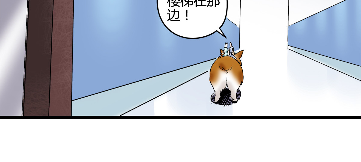 柯基骑士 （三）医院的诡异气息 第44页
