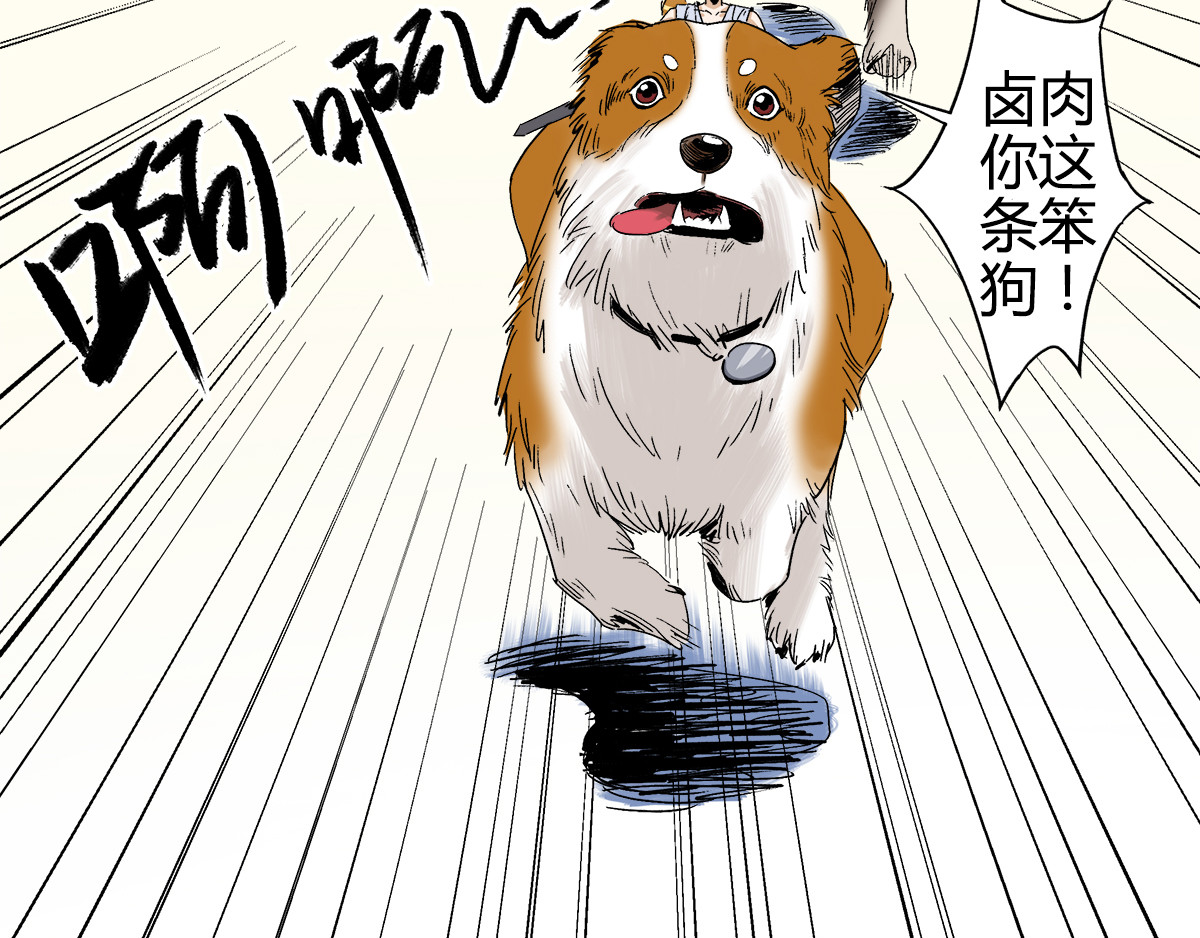 柯基骑士 （三）医院的诡异气息 第6页