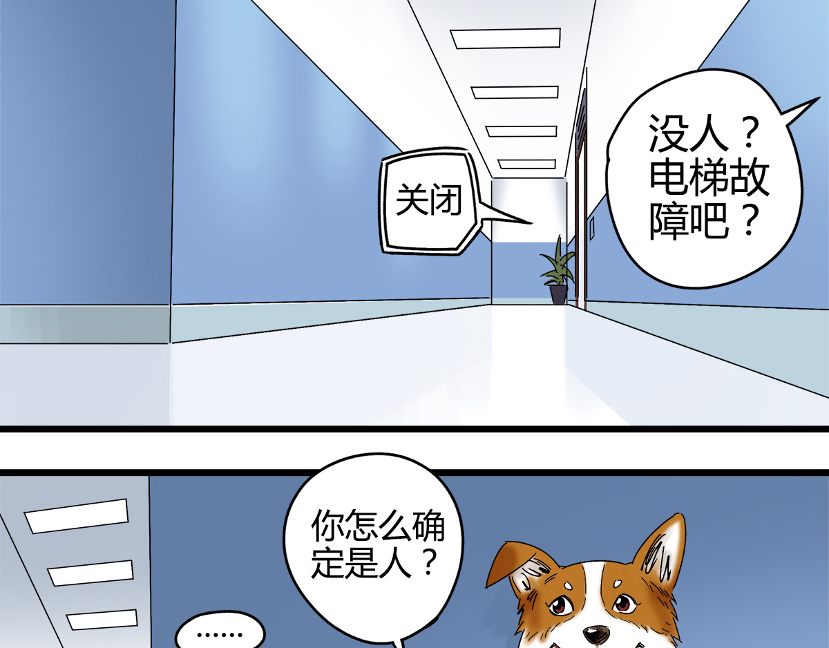 柯基骑士 （三）医院的诡异气息 第53页