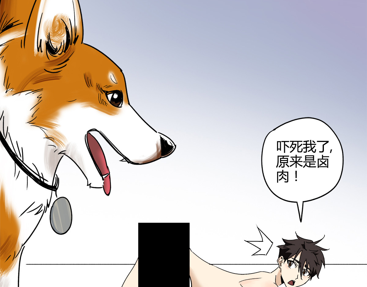 柯基骑士 （一）什么？我变小了？ 第43页