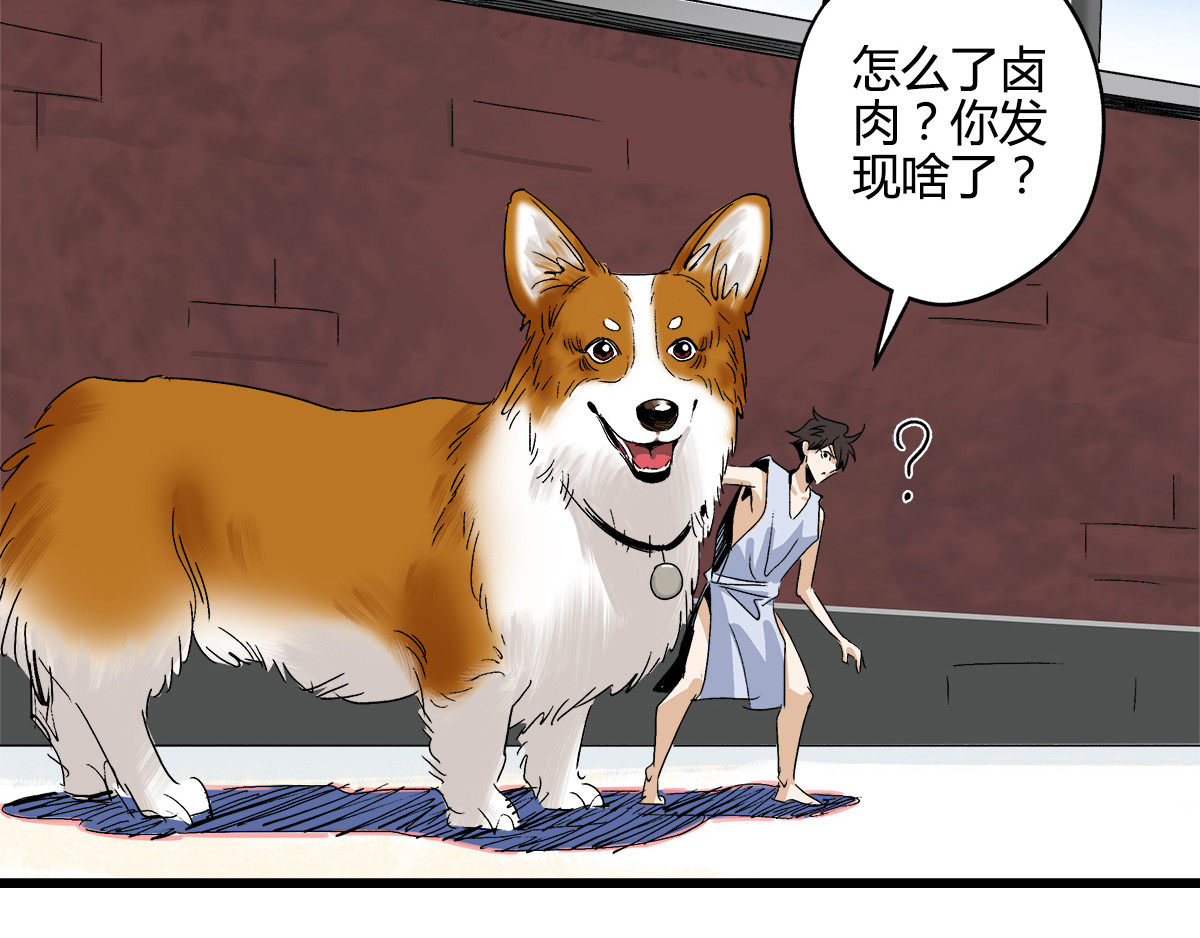 柯基骑士 （二）占便宜要挨打 第17页