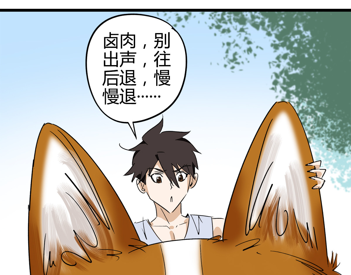 柯基骑士 （二）占便宜要挨打 第72页