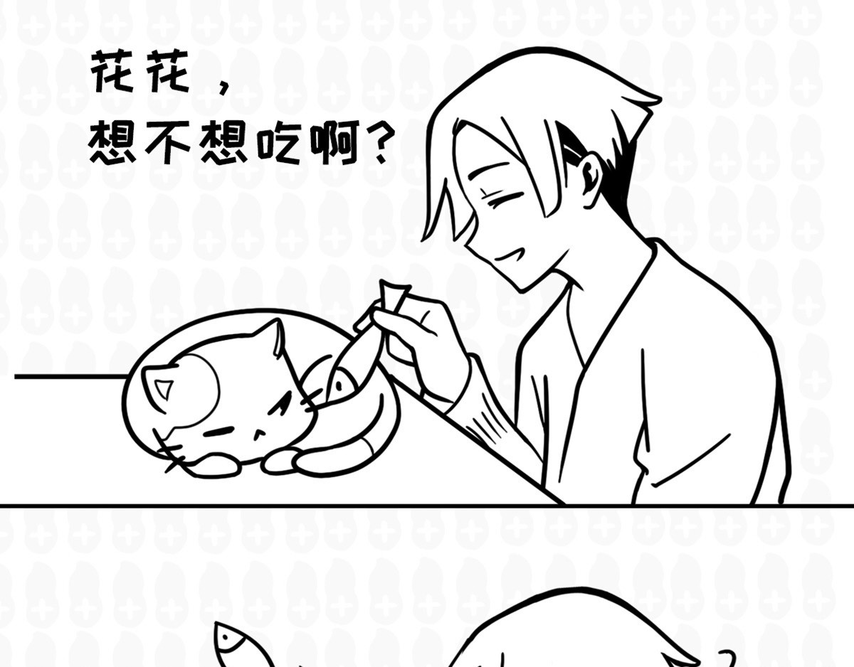 花生社区 喵喵拳 第2页