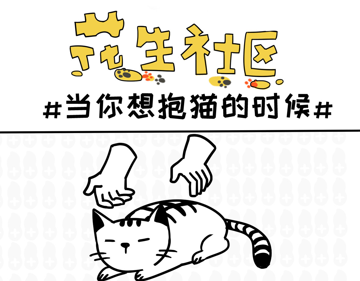 花生社区 喵喵拳 第6页