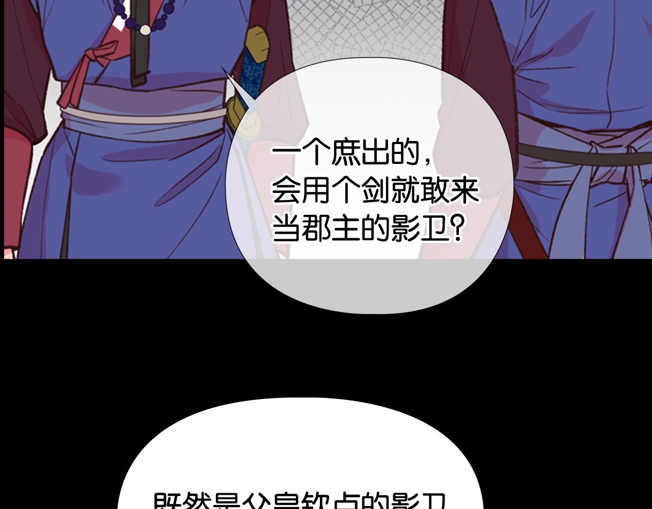逃婚郡主和她的影卫们 序章 郡主的影卫们 第25页