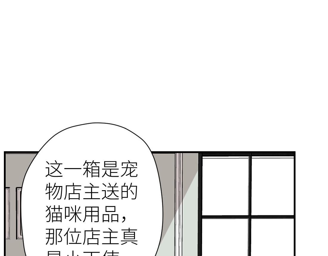光之羽 他像光 第162页