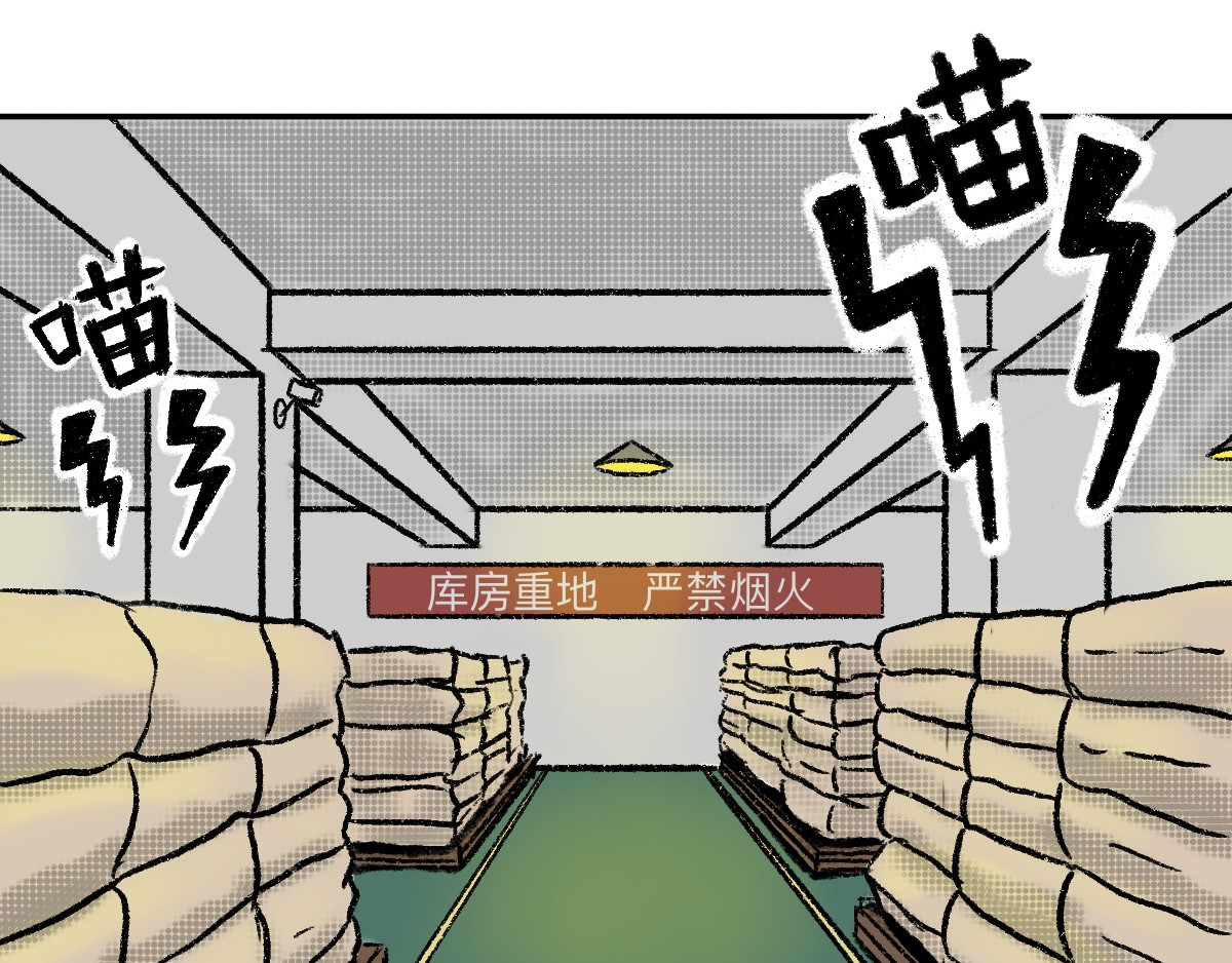 猫球崛起 第3页