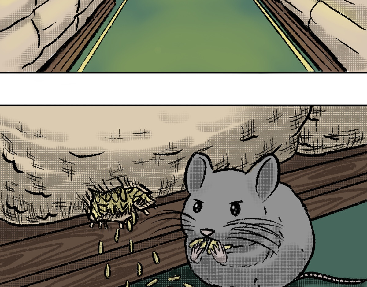 猫球崛起 第4页