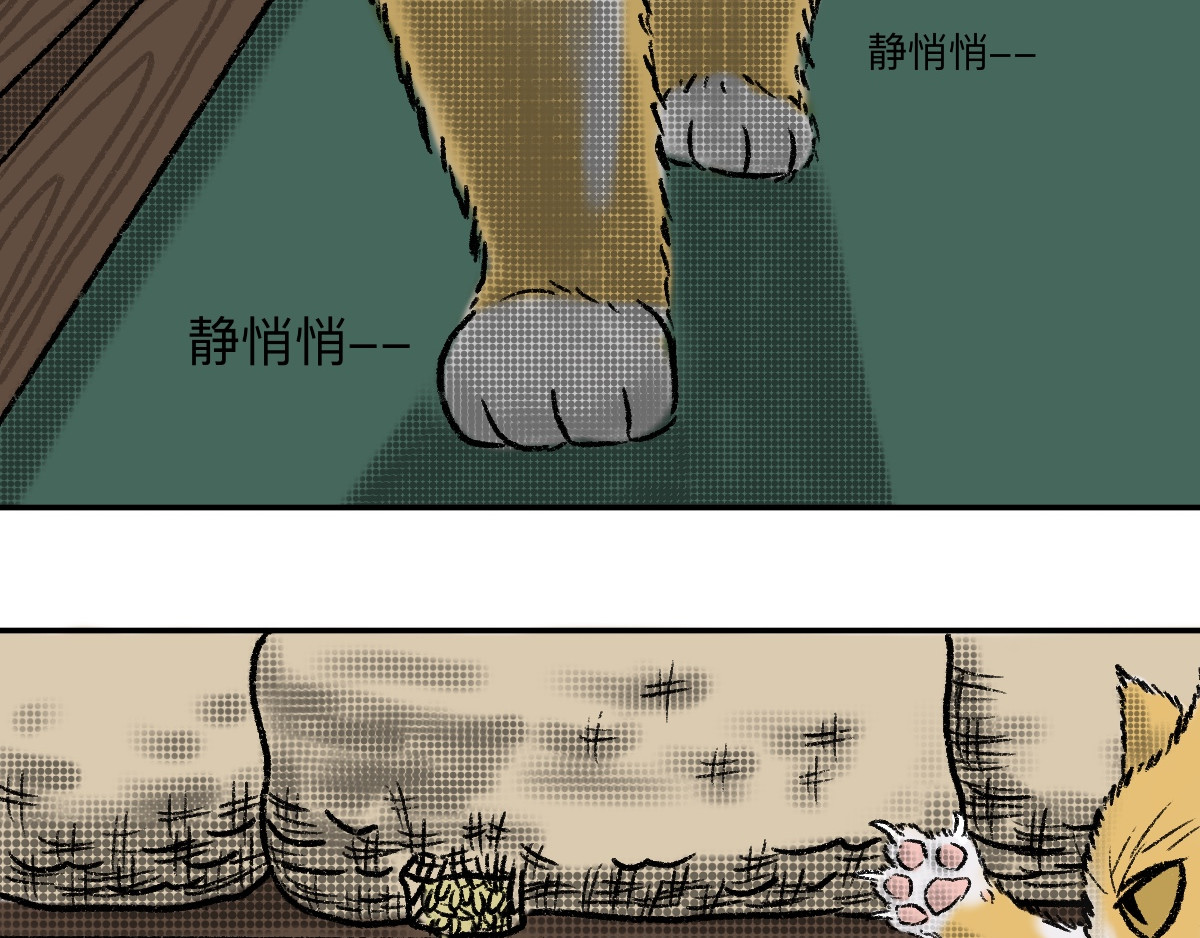 猫球崛起 第6页
