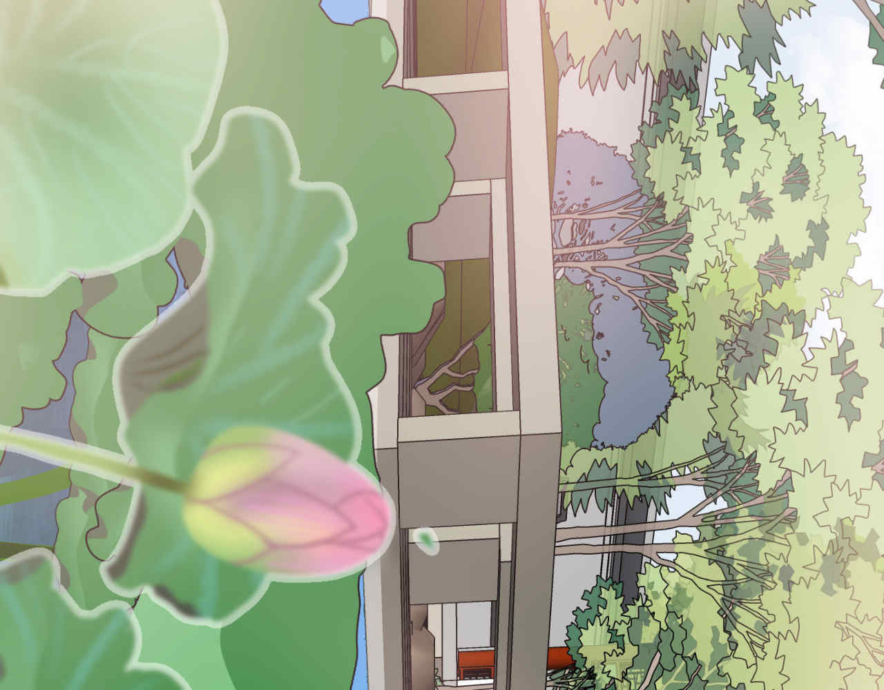 并蒂莲 1 第26页