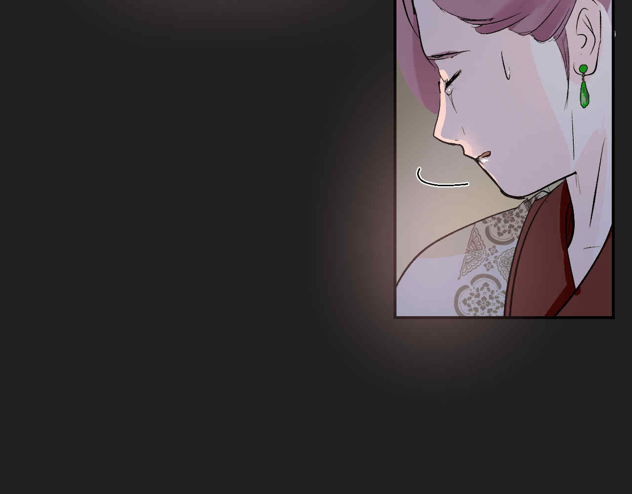并蒂莲 1 第97页