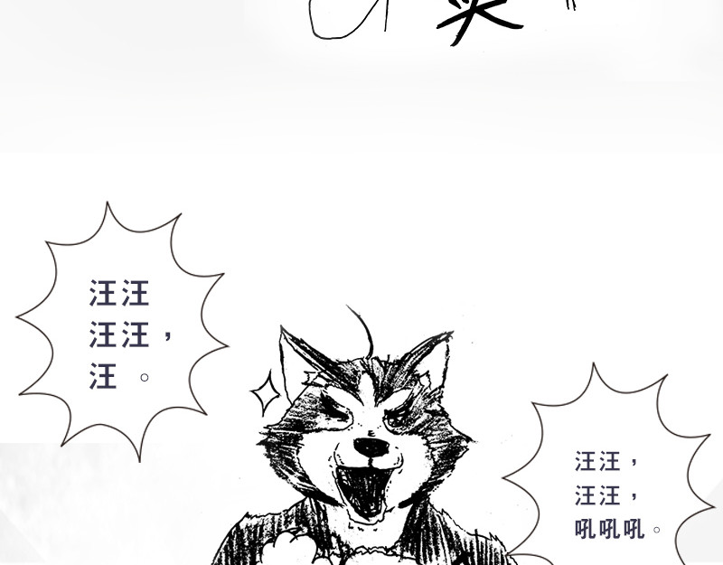 再生猿 开局：两只猿一头狗 第145页