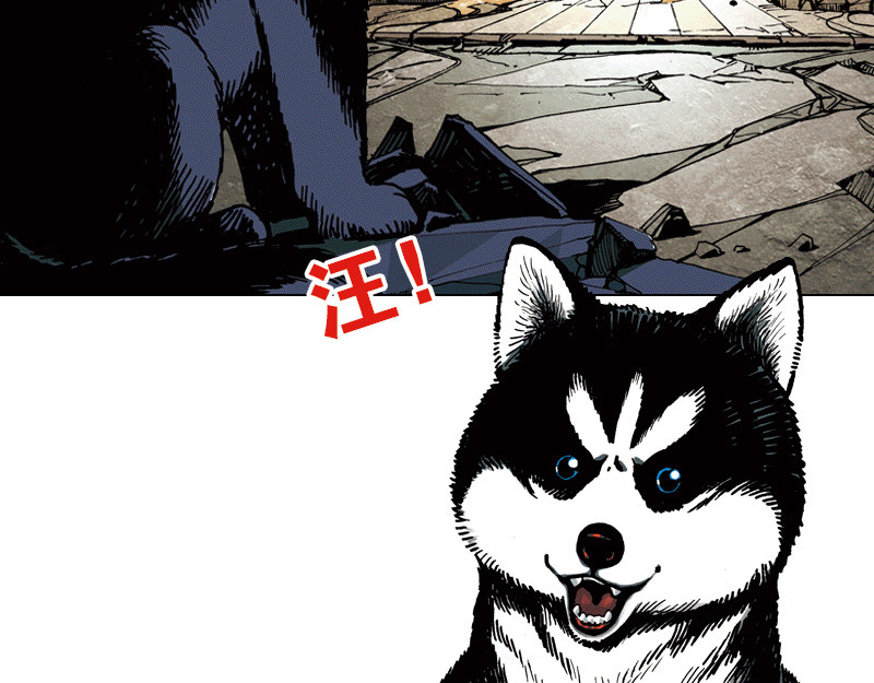 再生猿 开局：两只猿一头狗 第20页