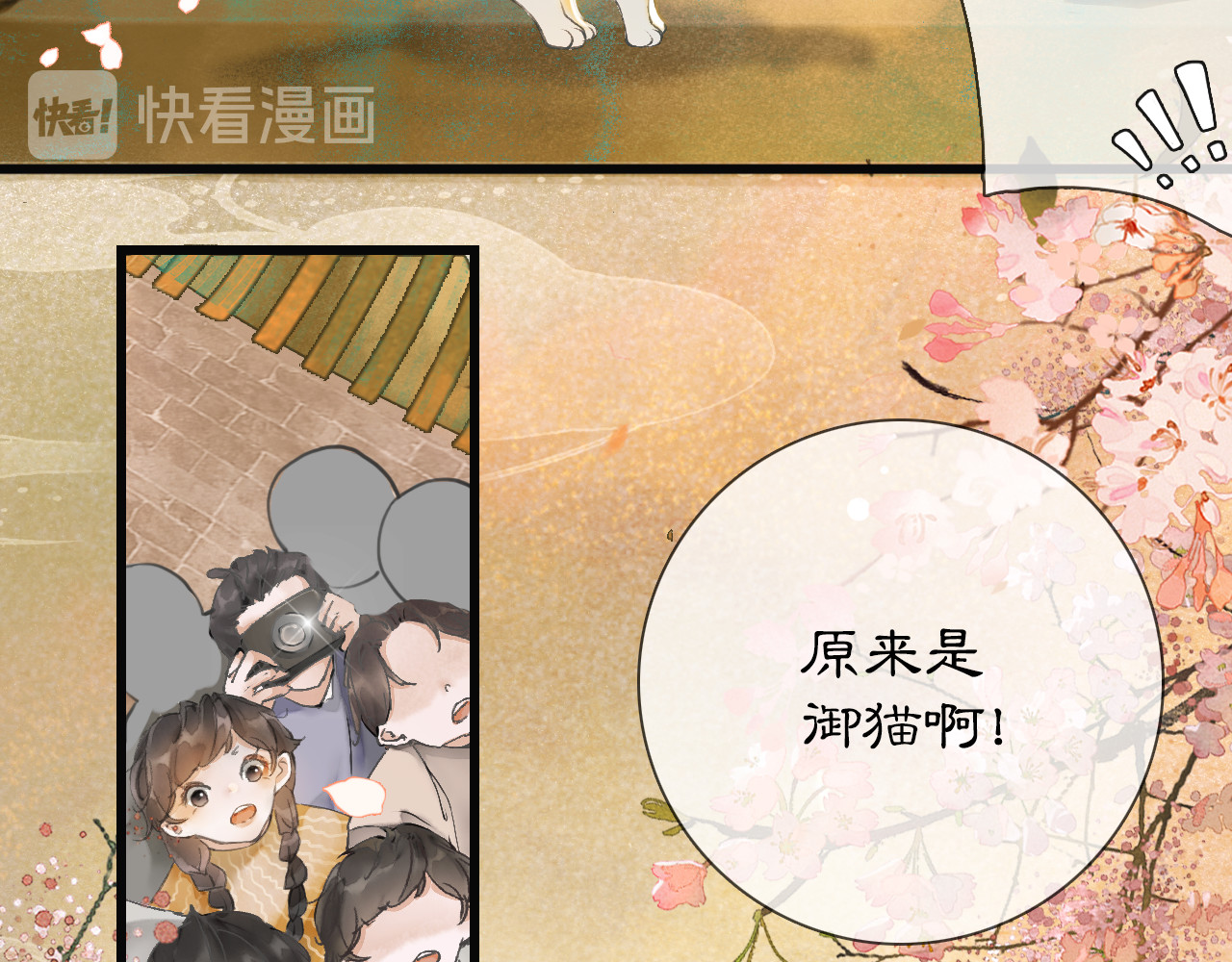 紫禁·御喵房 第1话 御猫的神秘生活 第15页