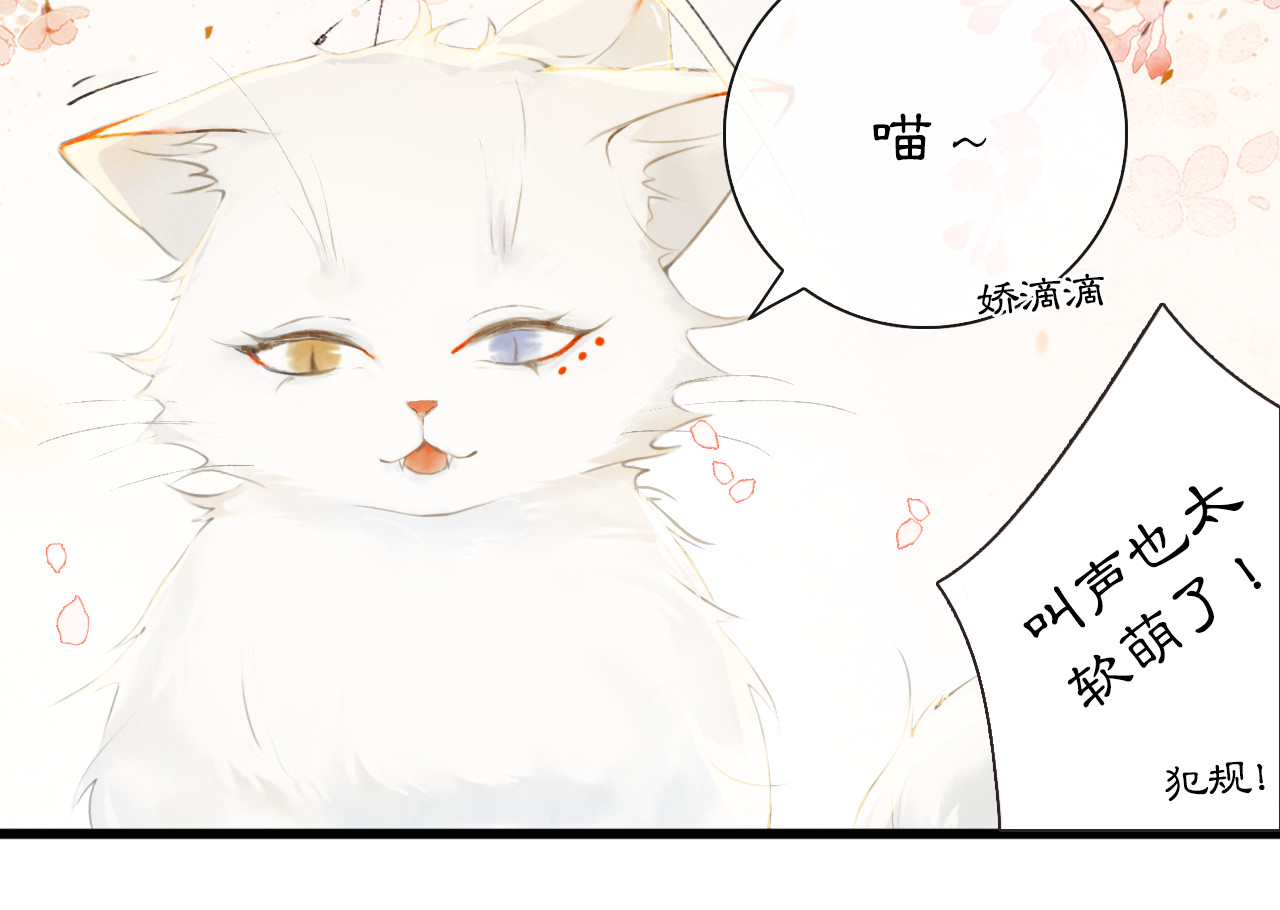 紫禁·御喵房 第1话 御猫的神秘生活 第26页