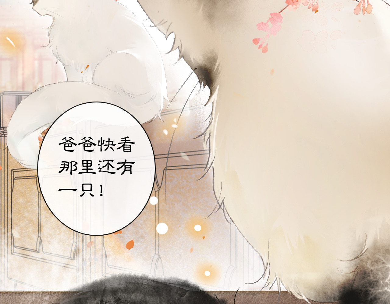 紫禁·御喵房 第1话 御猫的神秘生活 第29页