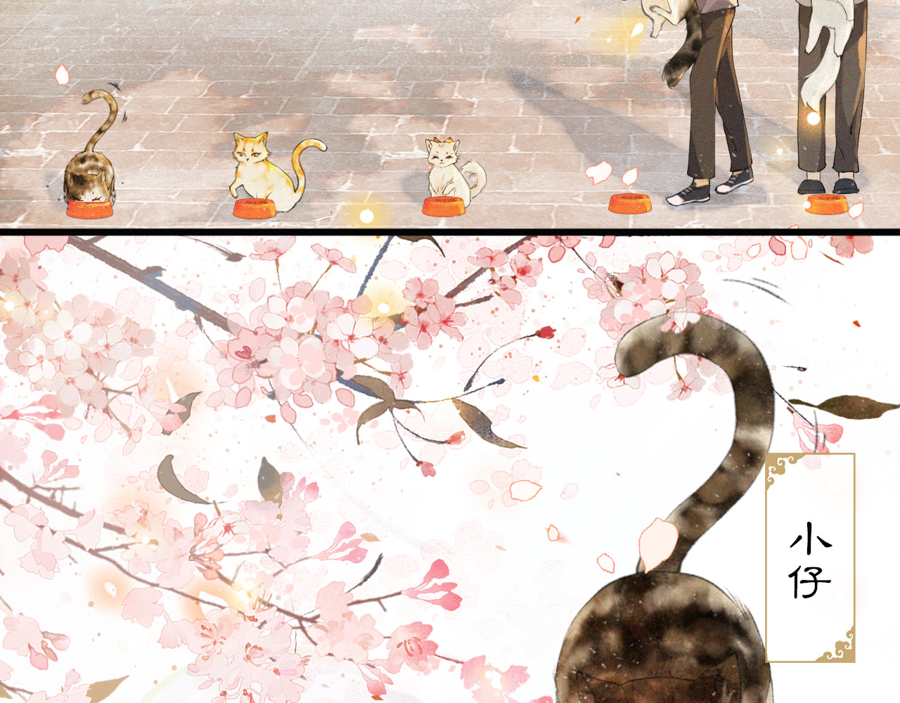 紫禁·御喵房 第1话 御猫的神秘生活 第43页