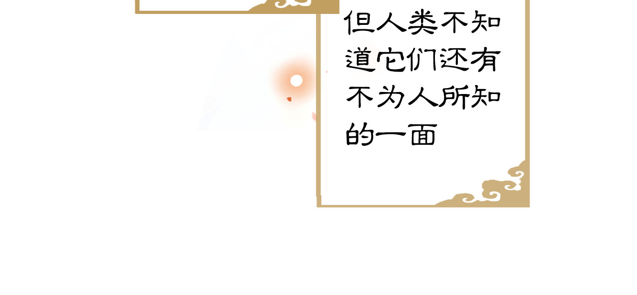 紫禁·御喵房 第1话 御猫的神秘生活 第48页