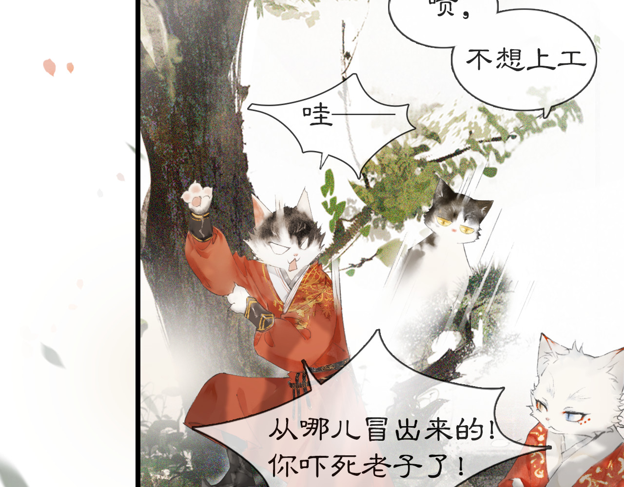 紫禁·御喵房 第1话 御猫的神秘生活 第61页