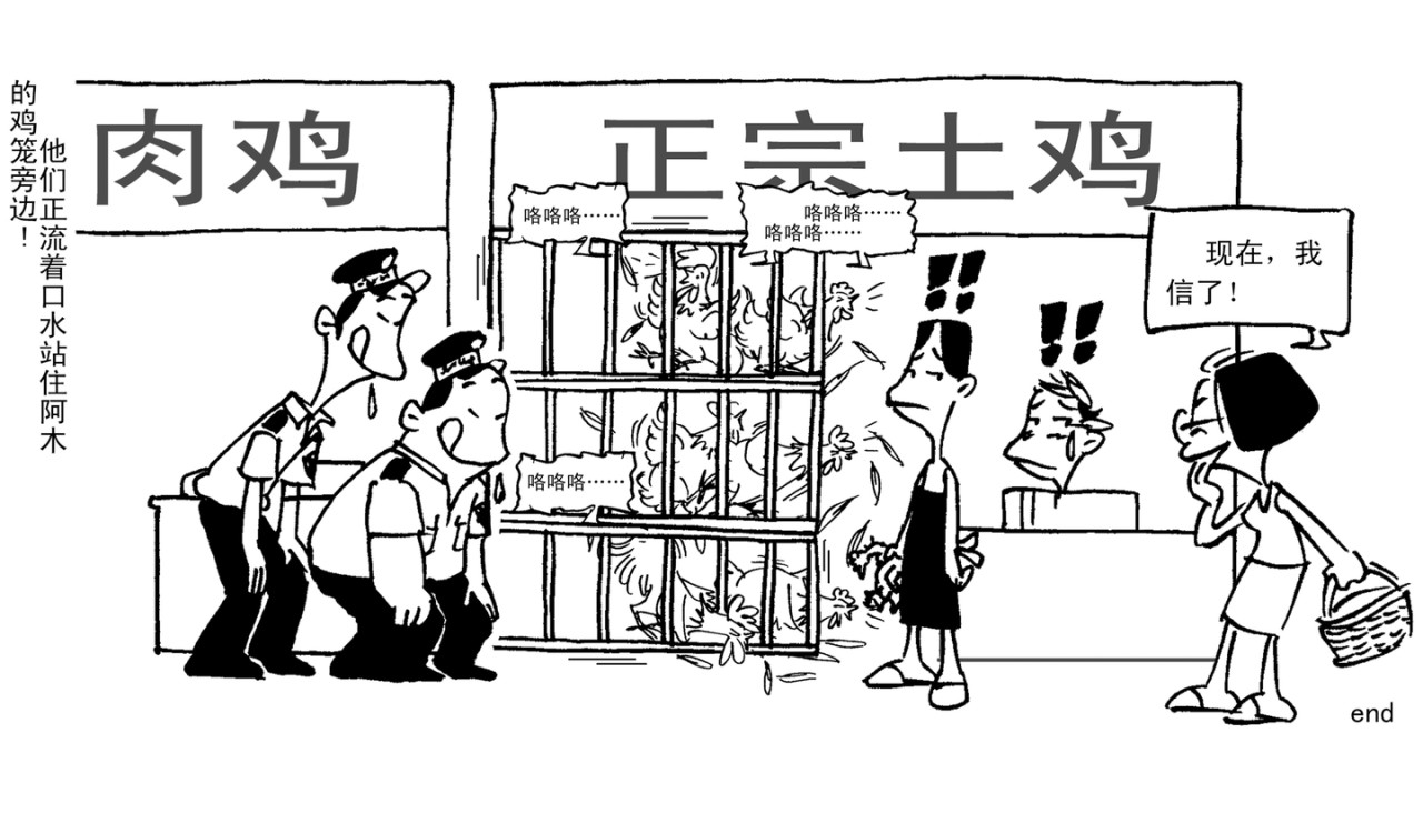 卖土鸡 卖土鸡 第26页