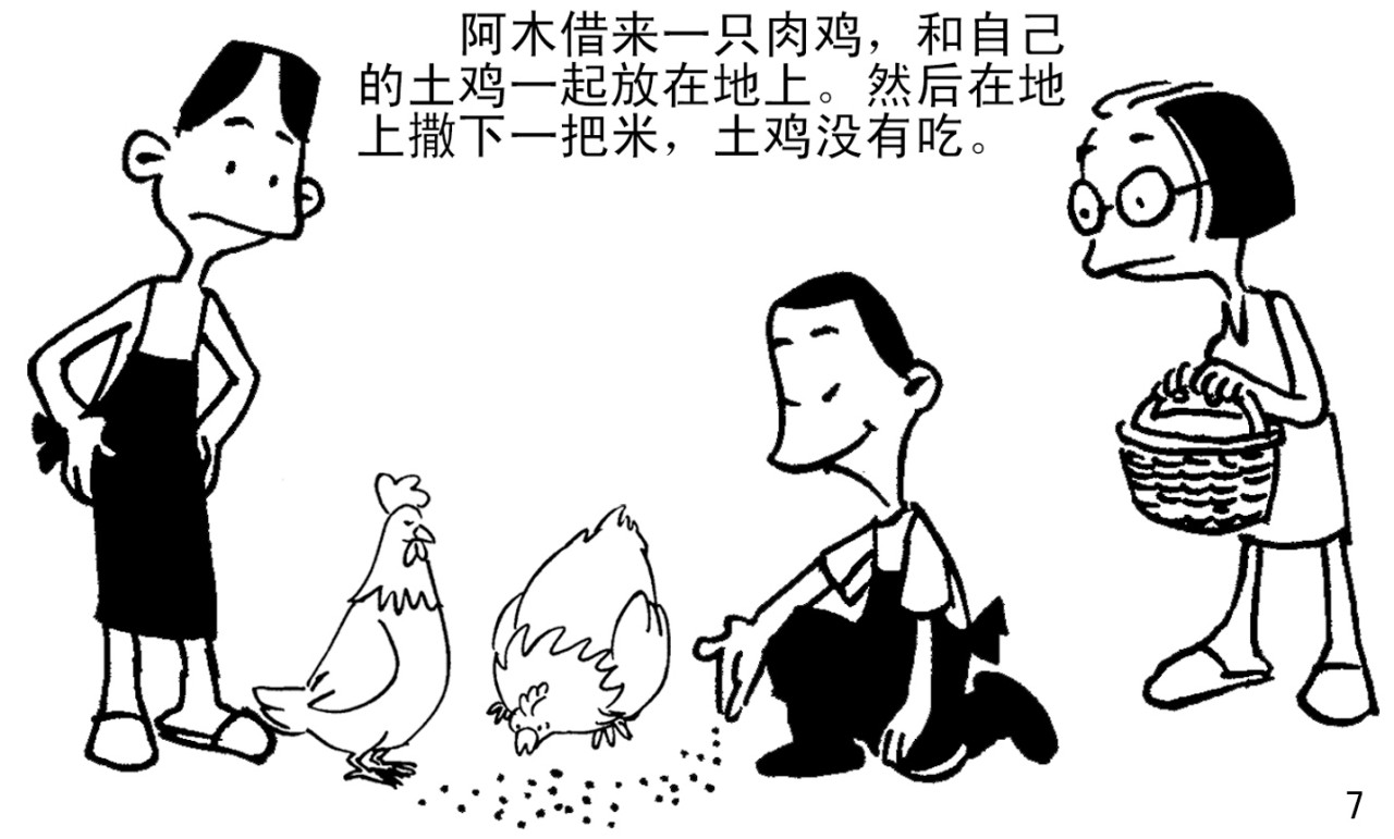 卖土鸡 卖土鸡 第9页