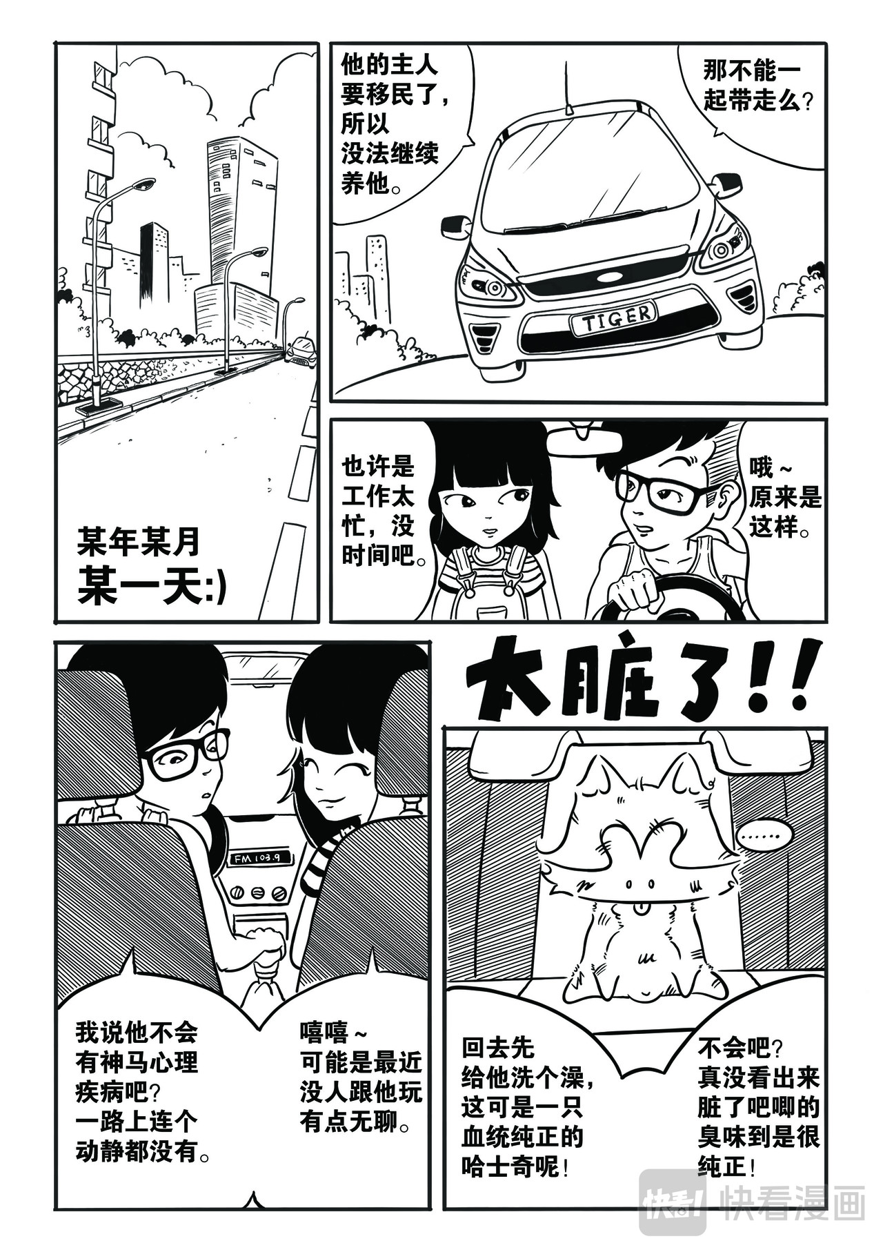 泰格虎 第2页