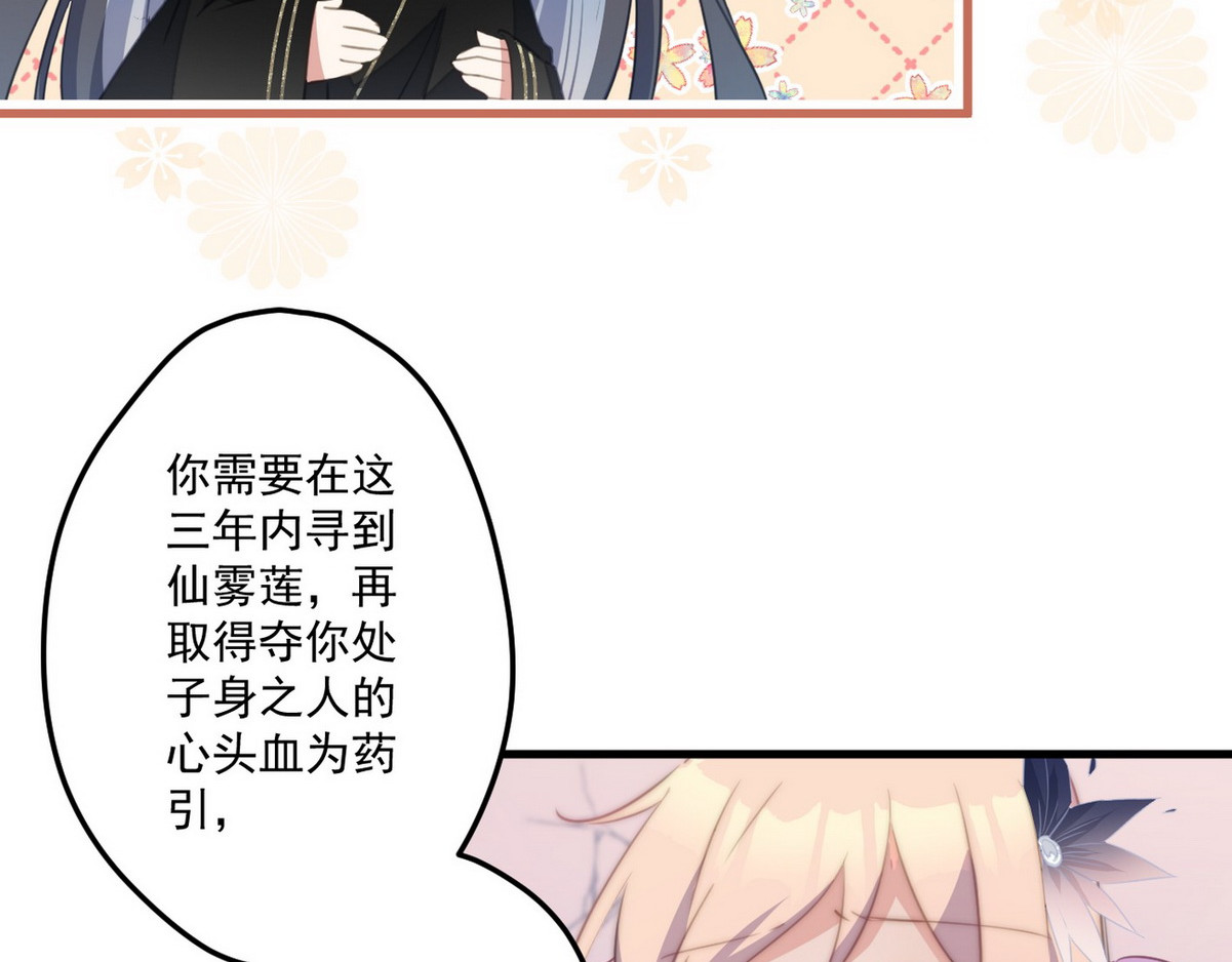 爆宠小萌妃 001 我胸没了 第93页