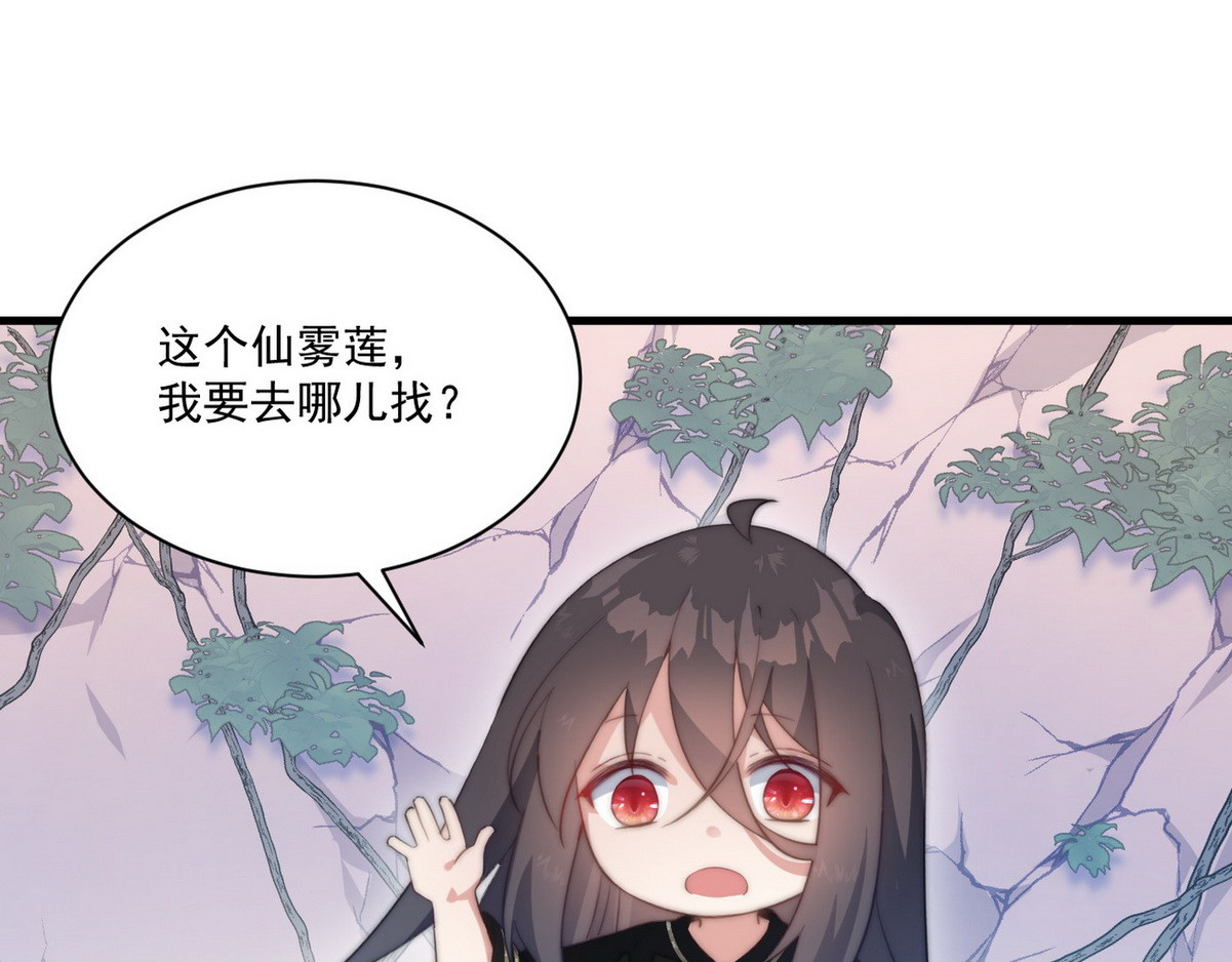 爆宠小萌妃 002 卖萌营业 第5页
