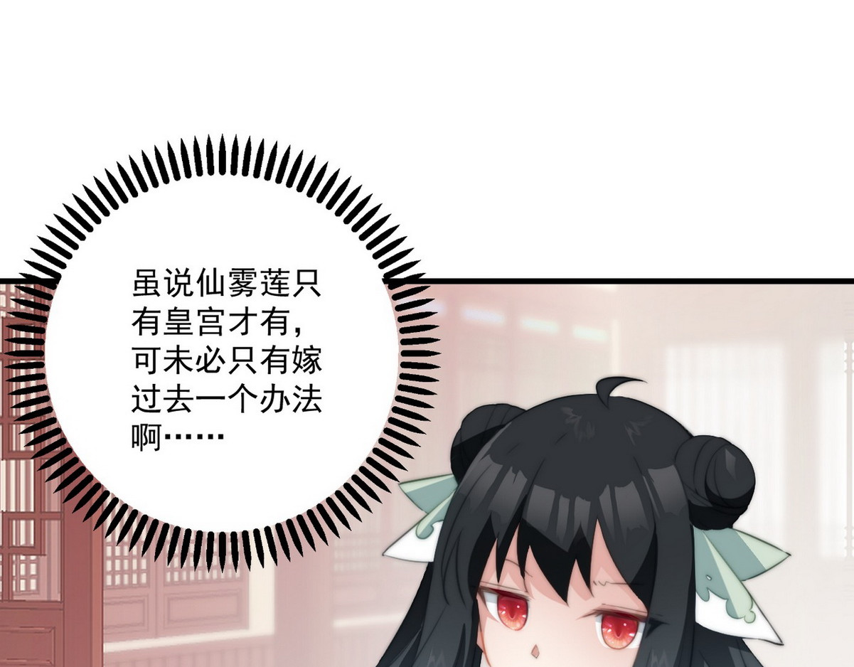 爆宠小萌妃 003 又见面具男 第13页