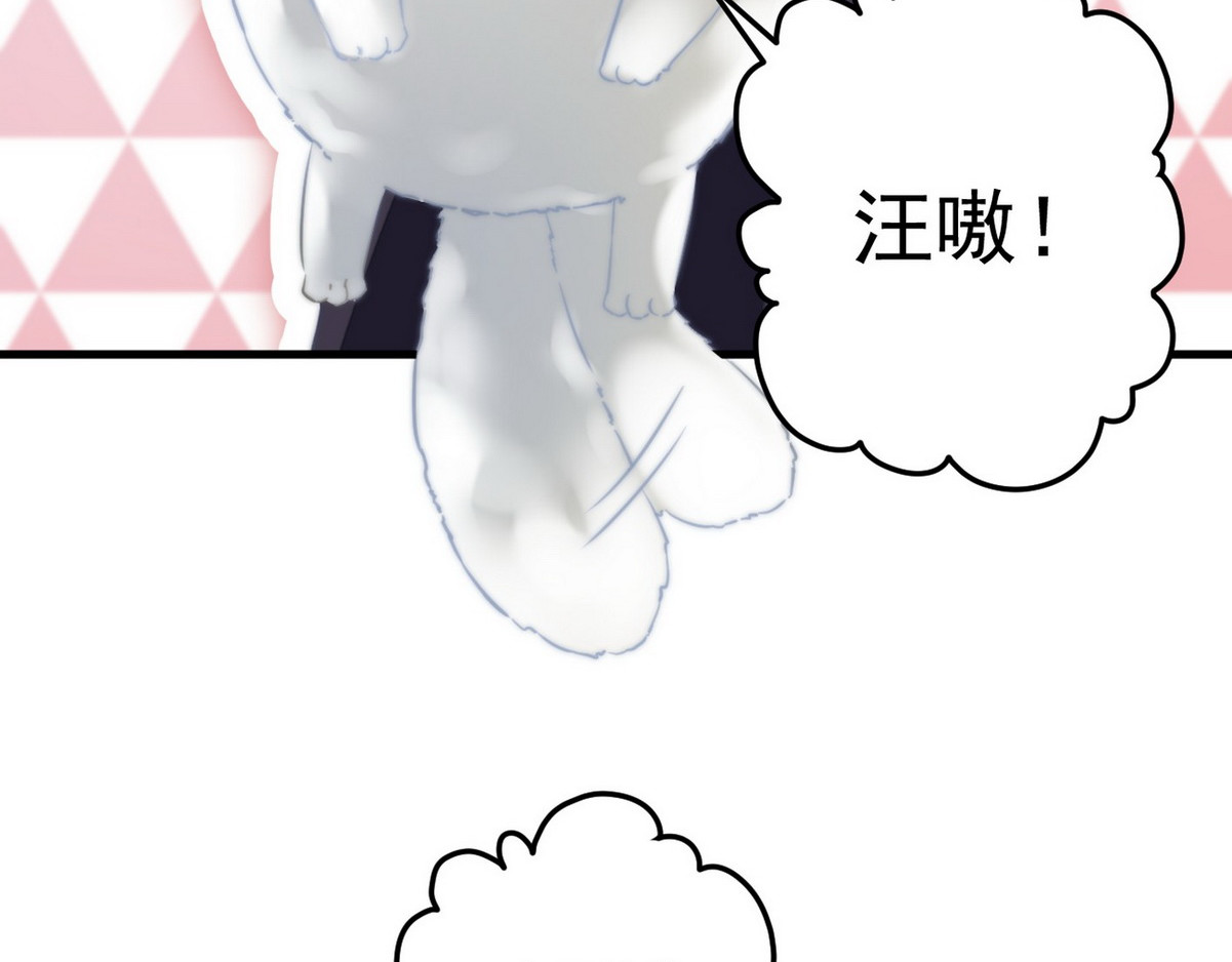 爆宠小萌妃 004 嫁给一只狗 第66页