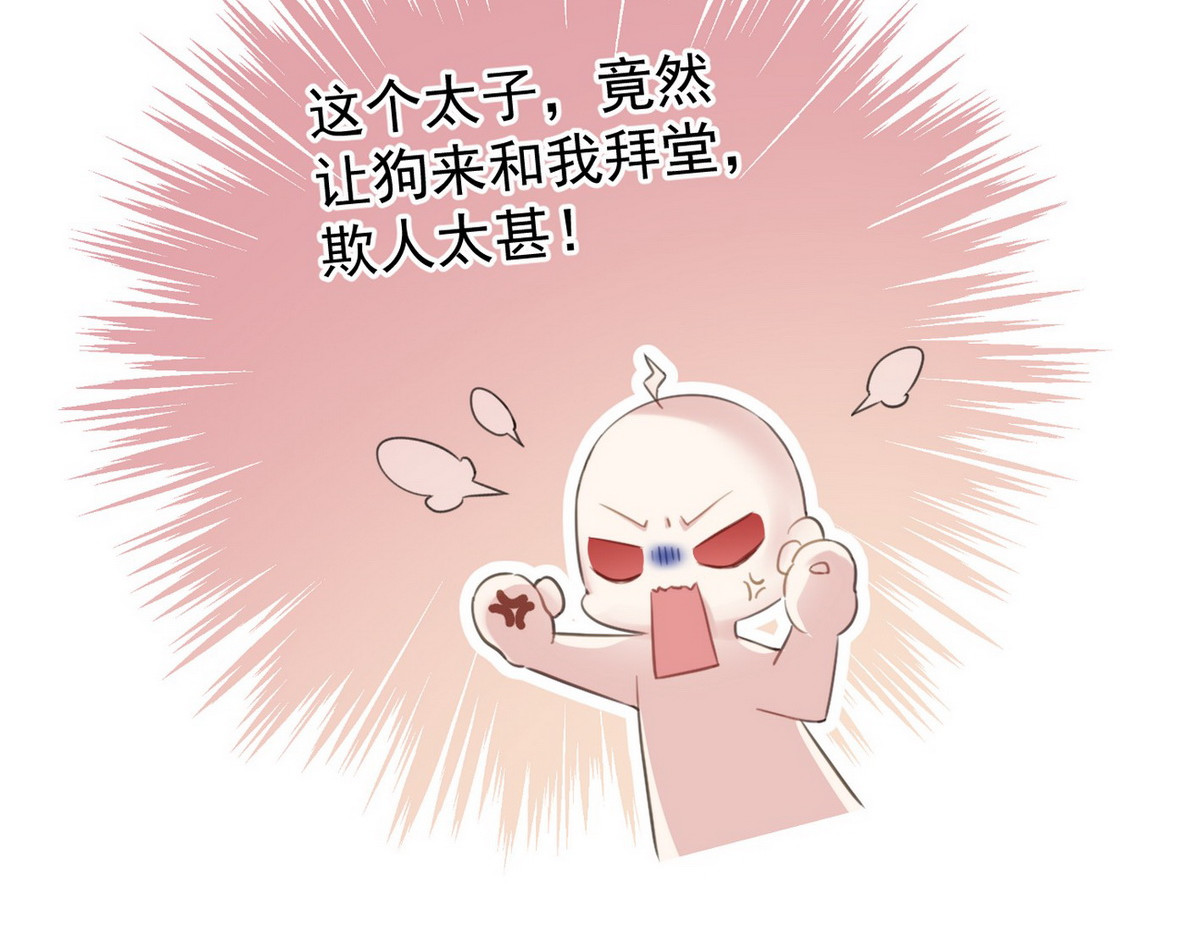 爆宠小萌妃 004 嫁给一只狗 第69页
