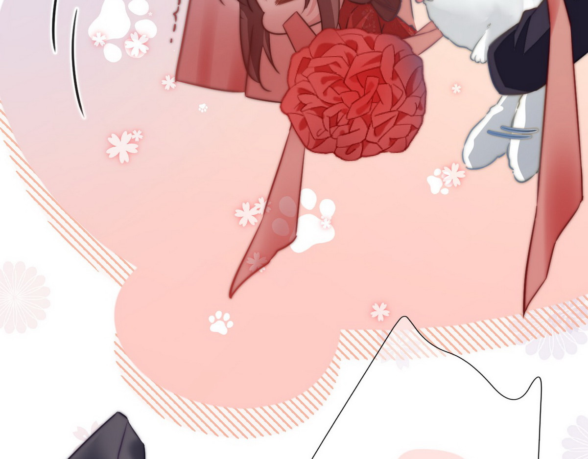 爆宠小萌妃 004 嫁给一只狗 第72页